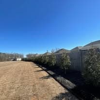 Arrowhead Outdoors Co. — Landscape project in Southwest Georgia