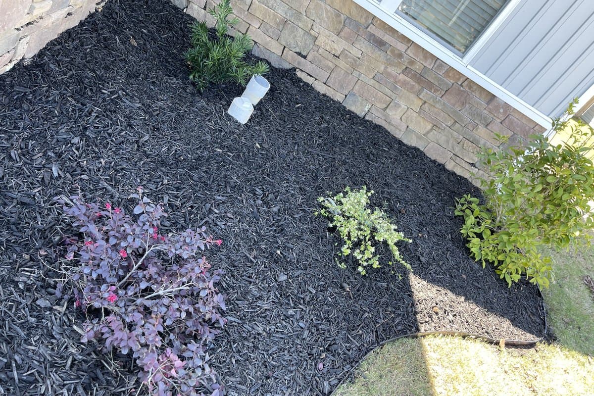 Arrowhead Outdoors Co. — Landscape project in Southwest Georgia