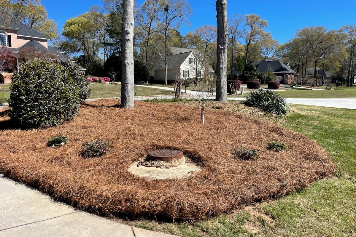 Arrowhead Outdoors Co. — Landscape project in Southwest Georgia