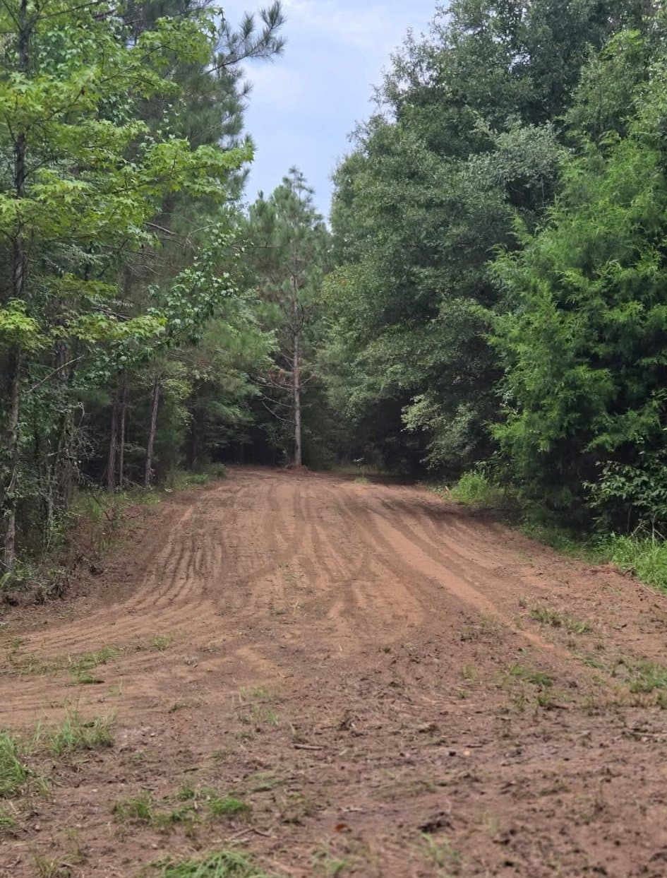 A freshly cleared and graded access road through mixed pine and hardwood