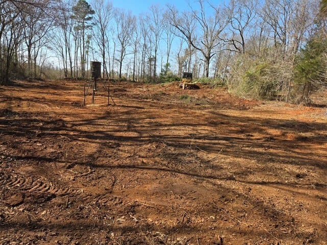 A cleared, graded opening in the woods with a feeder at the far edge