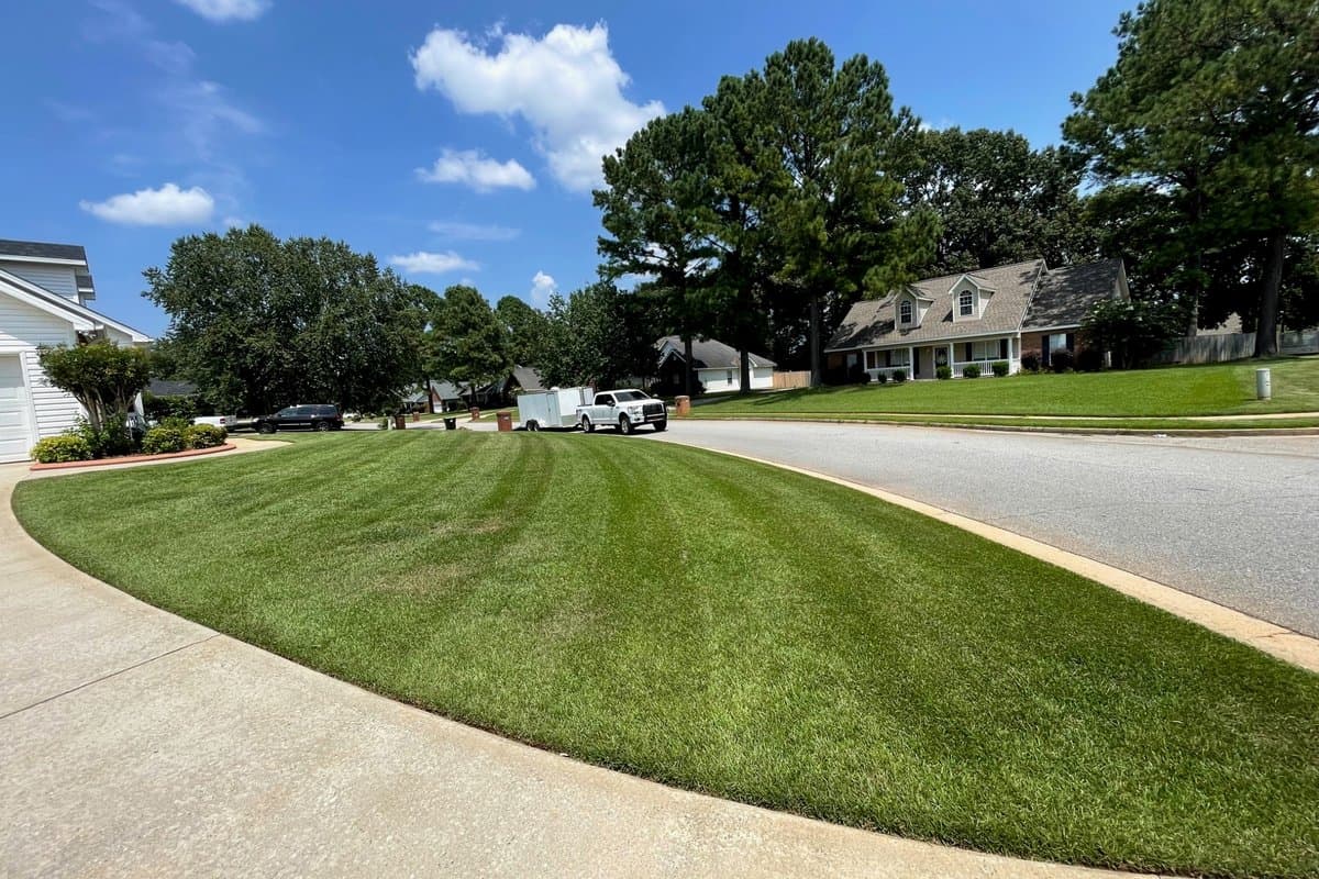 Curved mowing pattern on a maintained Southwest Georgia lawn — Arrowhead Outdoors Co.