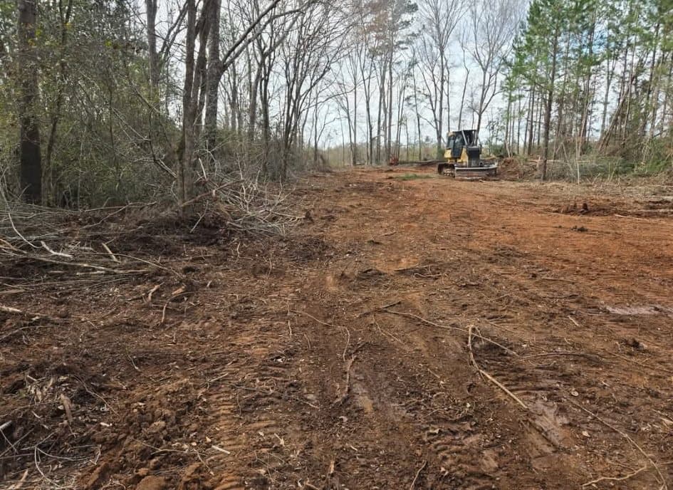 A dozer clearing brush and small trees to open ground in a stand of timber