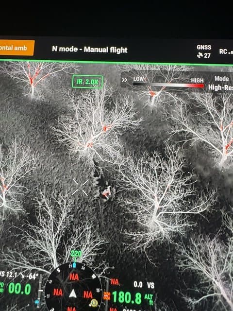 Drone controller screen showing a thermal view looking down through bare hardwood timber