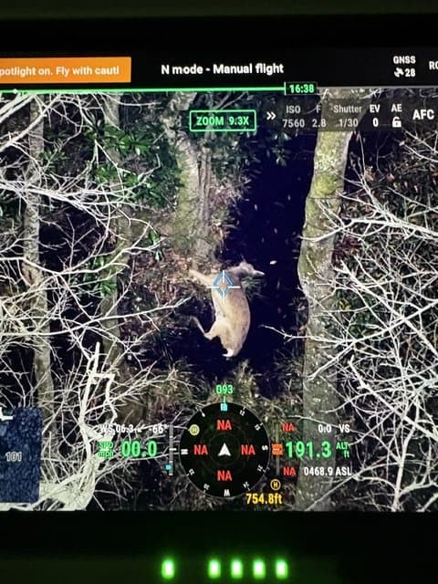 Drone controller screen at night showing a zoomed, spotlit view of a deer moving through timber